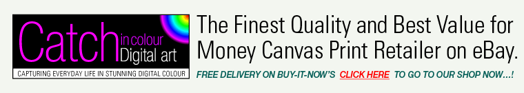 CatchinColour - Simply the highest quality and best value on eBay. Click here to visit our store now!