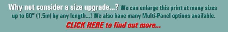 Why not consider a size upgrade...? We can enlarge this print at many sizes up to 60” (1.5m) by any length...! We also have many Multi-Panel options available. CLICK HERE to find out more...